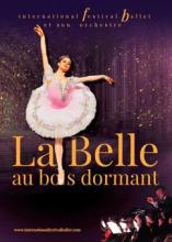 la belle au bois dormant